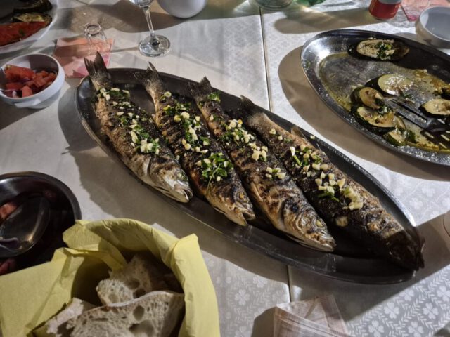 IMG-20260711-WA0033